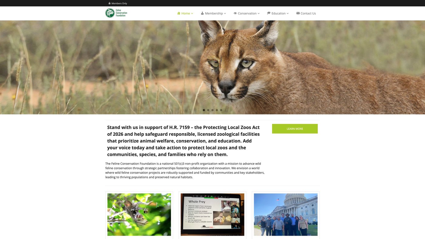 Feline Conservation Foundation website design project by Phoenix Tech Lab
